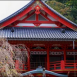 【朝だ生です旅サラダ】石川の甘納豆、モンブラン、神社が人気