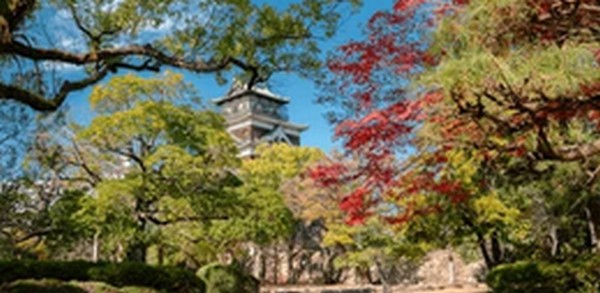 【朝だ生です旅サラダ】広島瀬戸内海のお好み焼、和菓子、農園が人気
